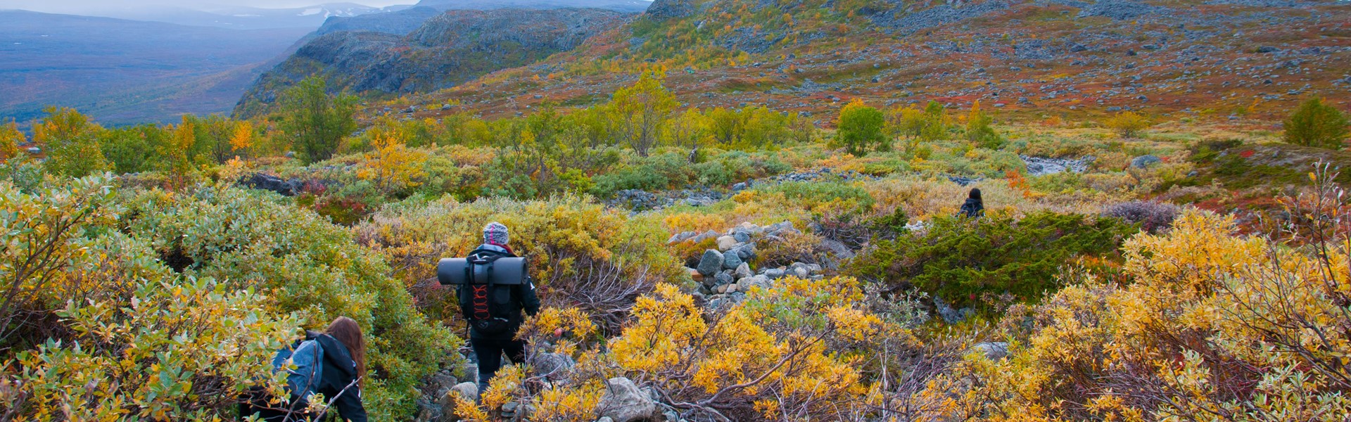 Vandring i stora Sjöfallet