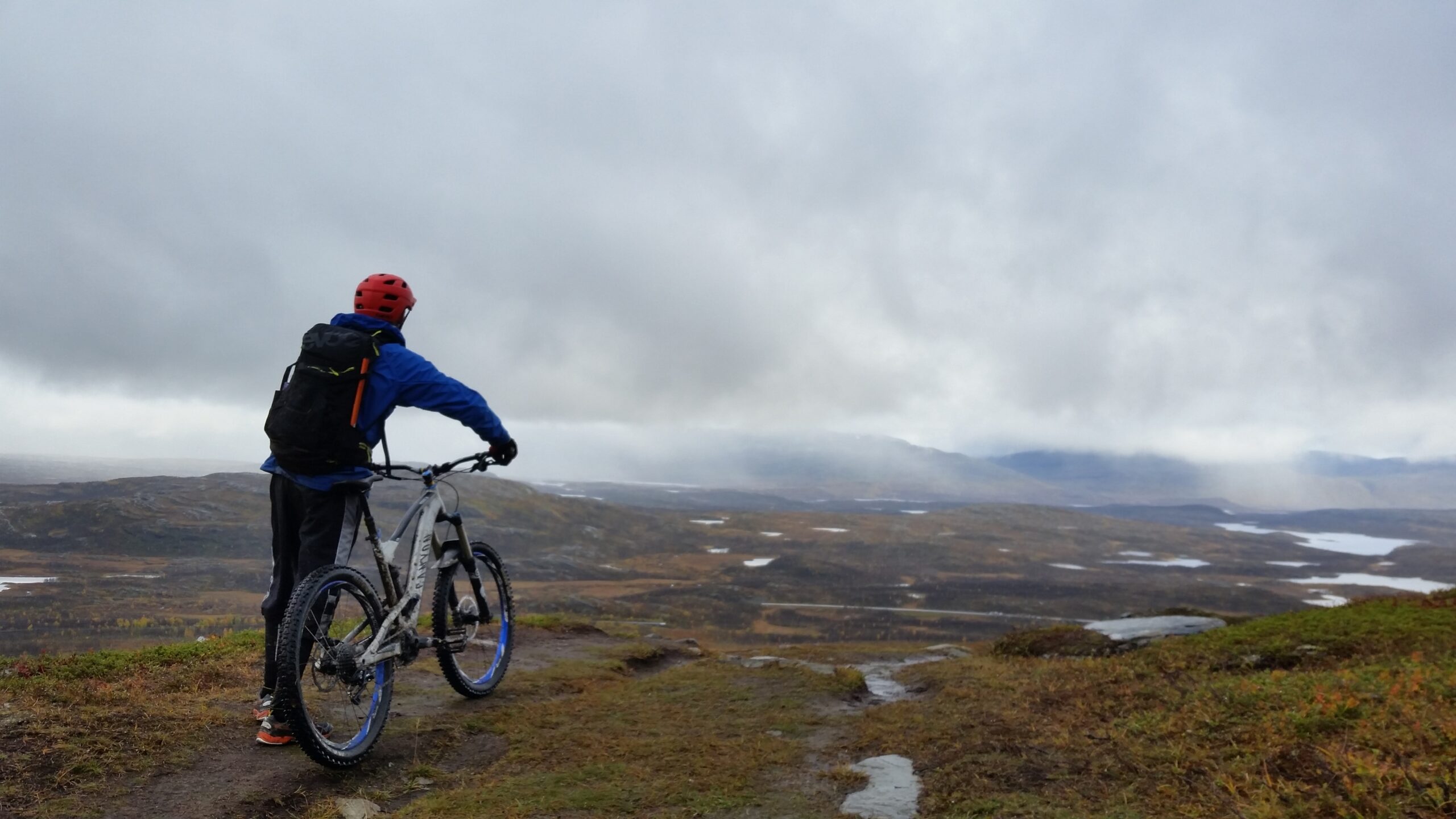 Mountainbike på vitberget