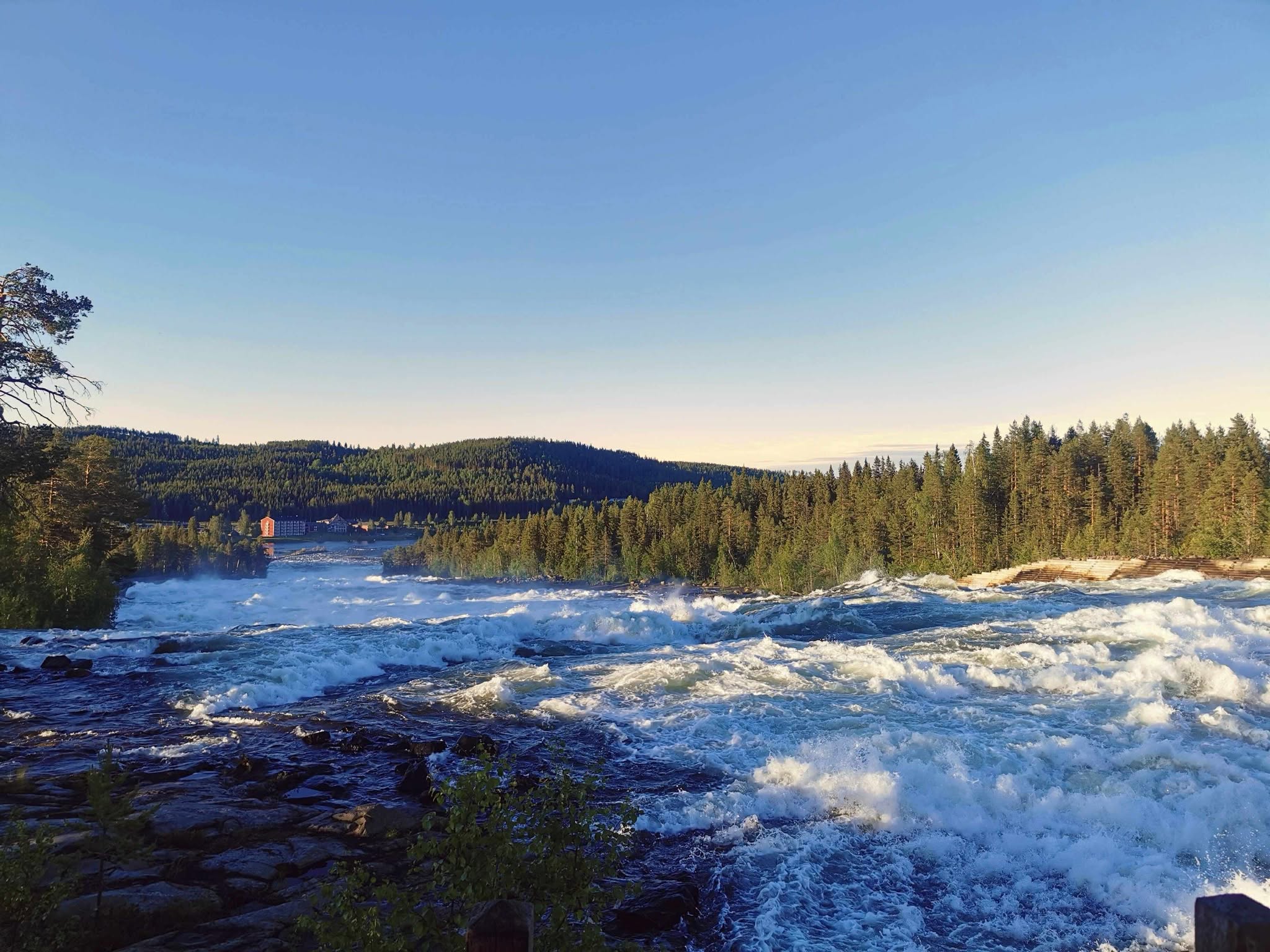 Storbuss till Storforsen